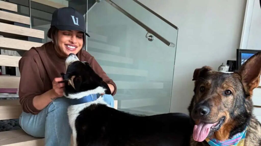 Priyanka Chopra quick trip home