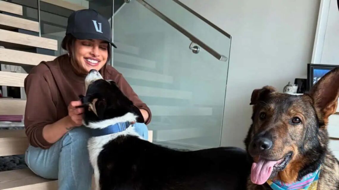 Priyanka Chopra quick trip home