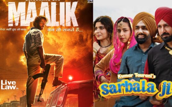 Delhi HC Bans 56 Websites from Streaming Sarbala Ji Movie and Maalik Amid Piracy Concerns