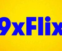 9xflix: The Rise, Popularity, and Legal Concerns Around the Piracy Platform