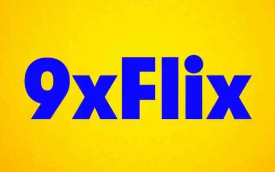 9xflix: The Rise, Popularity, and Legal Concerns Around the Piracy Platform